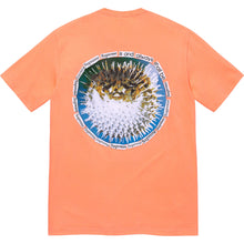 Supreme Blowfish Tee Peach