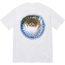 Supreme Blowfish Tee Grey