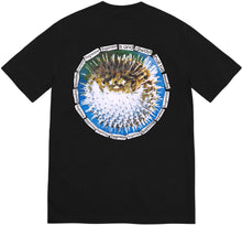 Supreme Blowfish Tee Black