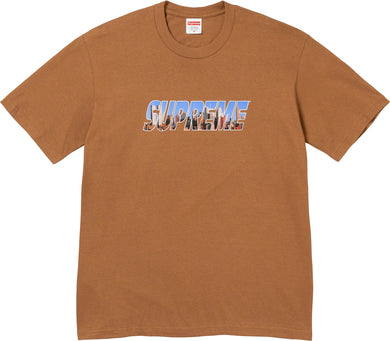 Supreme Gotham Tee Brown