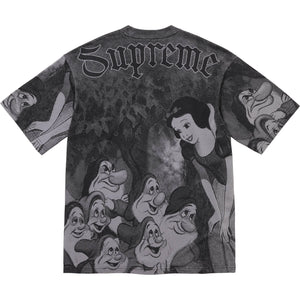 Supreme Snow White SS Top Grey