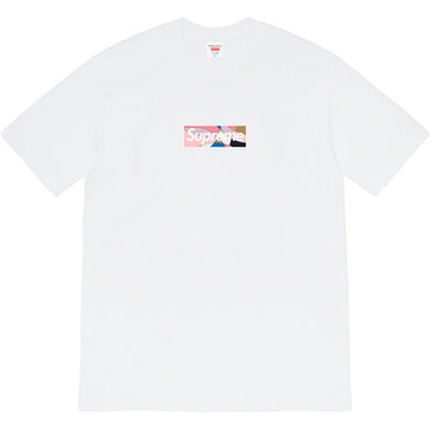 Supreme Emilio Pucci Box Logo Tee White/Pink