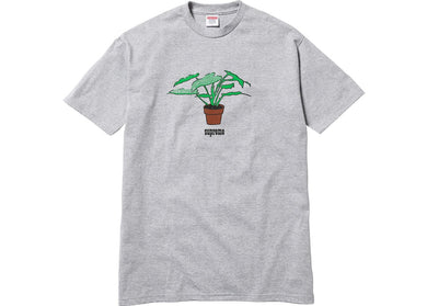 Supreme Plant Tee Grey