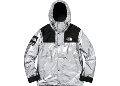 Supreme The North Face Metallic Mountain Parka Silver