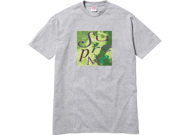 Supreme Venus Tee Grey